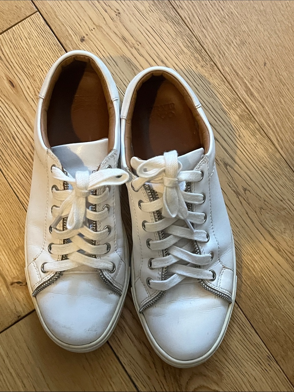 Frye and co zipper sneaker sz 6 women’s